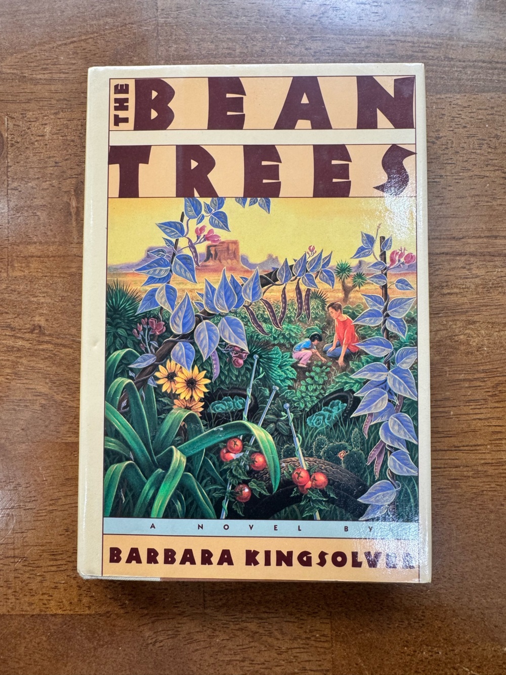 The Bean Trees by Barbara Kingsolver - Hardback